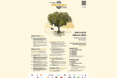 Thumbnail Agri-food Days of the Black Truffle of the Campo de Daroca Region (Manchones)