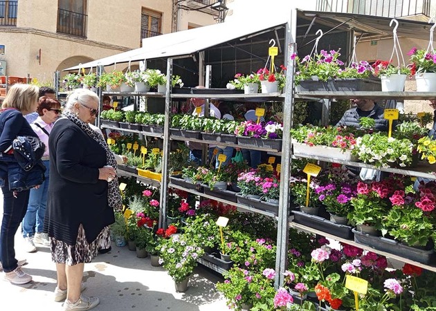 Image gallery Garden and Orchard Fair (Provisional Date) 1