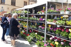 Thumbnail Garden and Orchard Fair (Provisional Date)