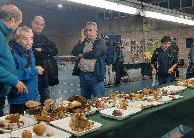 Image gallery Ayerbe Mycological Conference 1