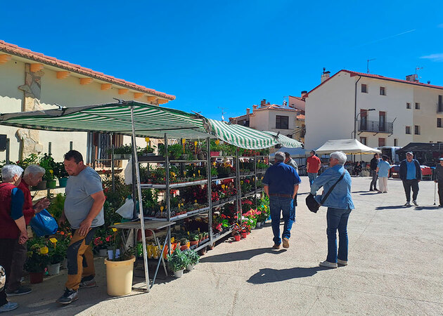 Image gallery Cantavieja Trade Fair 1