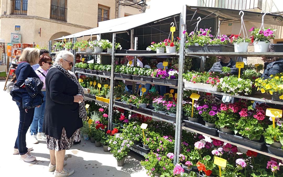 Thumbnail Garden and Orchard Fair (Provisional Date)
