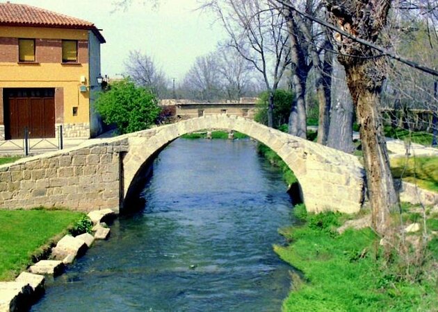 Image gallery Roman Bridge (Calamocha) 1